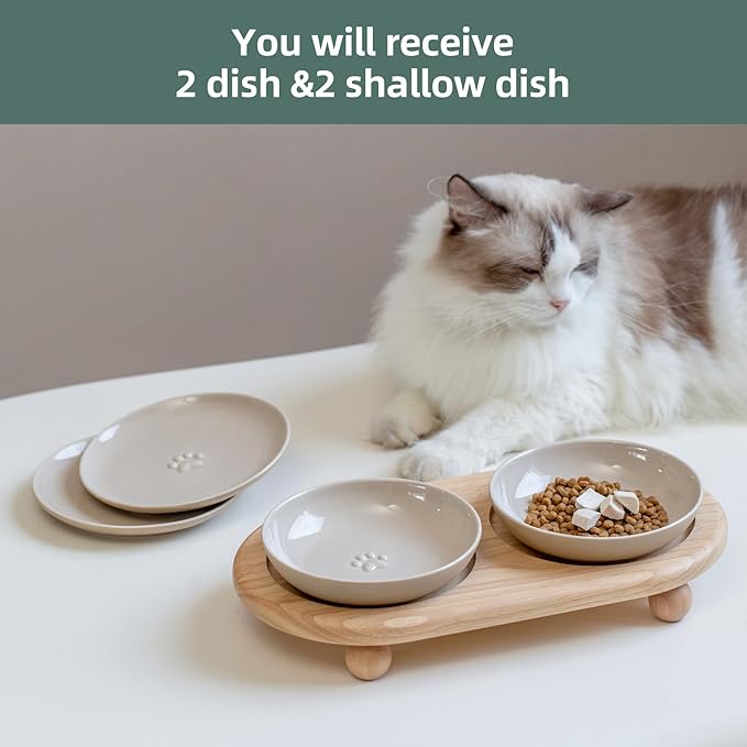 Havniva Elevated Cat Bowls, Ceramic Cat Food Bowl Whisker Friendly Cat Dishes, Kitten Food & Water Bowl with Two Heights Stand, Anti-Slip Raised Cat Food Plates