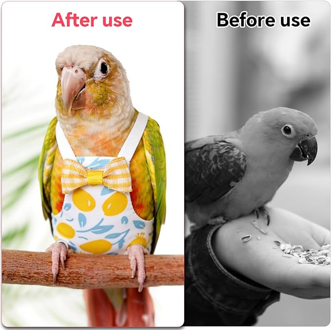 4pcs Reusable Bird Diapers, Cute Pet Bird Diaper with Waterproof Inner Washable Parrot Nappy Pants for Parakeet Cockatiel Budgie Pigeon Lovebird Canary (4 Fruit-Themed Styles)