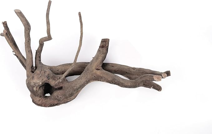 Spider Wood Natural Aquarium Decor Branches 4pcs 12-16in Aquascape | Slim branchy shapes; betta and aquascape tank