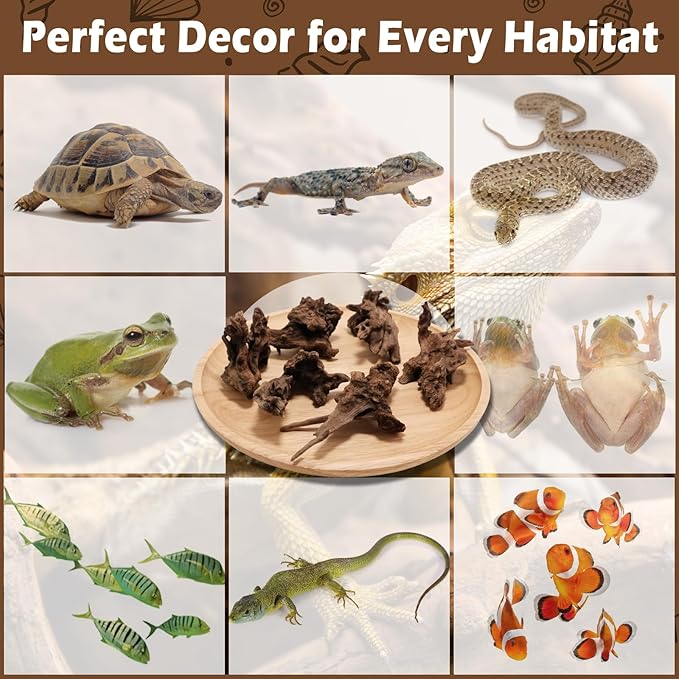 6PCS Natural Driftwood for Aquarium & Reptile Tank, 3–6 Inches Unique Wood Decor for Fish Tank, Turtles, Lizards, Snakes, Natural Driftwood for Home Decor