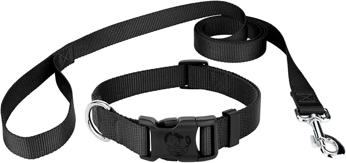 Country Brook Petz - Everyday Nylon Dog Collar and Leash - 10+ Cool Colors (3/8 Inch, 2XS, Black)
