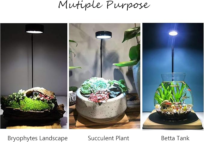 Full Spectrum LED Light with Bamboo Board, Fits Aquarium Nano Tank, Betta Fish Tank, Potted Plants, Succulents, Miniature Landscape – 9W