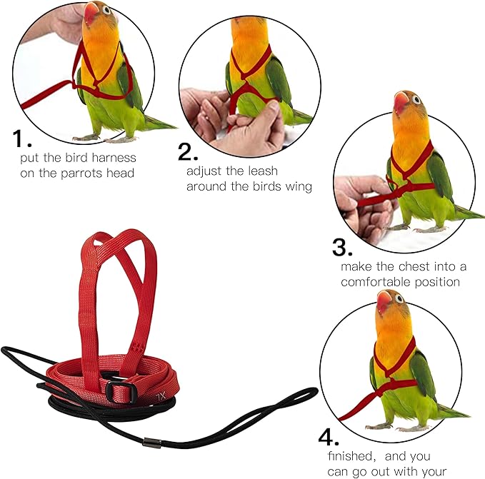 2 pcs Pet Parrot Bird Harness and Leash, Adjustable Training Design Anti-Bite, Outdoor Flying Training Rope Kit for Bird Parrots Fits Birds Chest Between35-62cm /13.78-24.41inch - L (red)