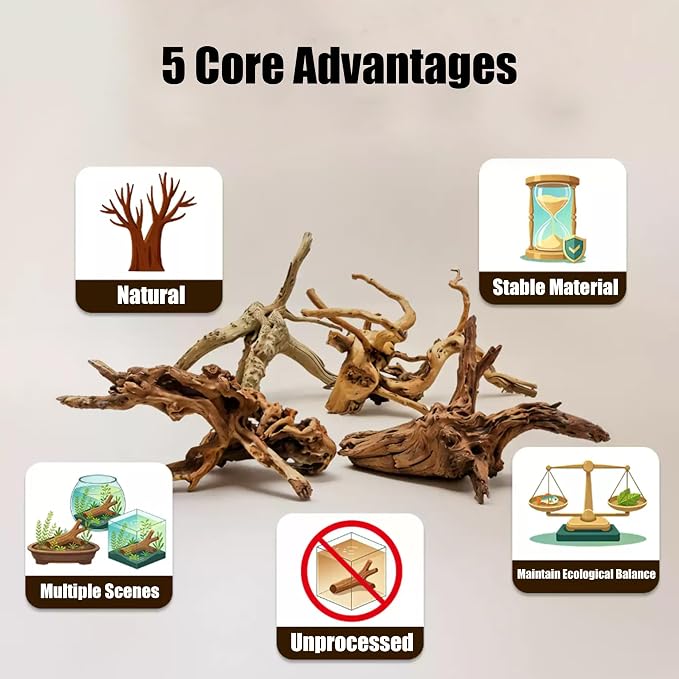 6 Pcs Natural Small Spiderwood Driftwood, 6-8 Inch Assorted Branches Aquarium Fish Tank Reptile Terrarium Landscape Decor