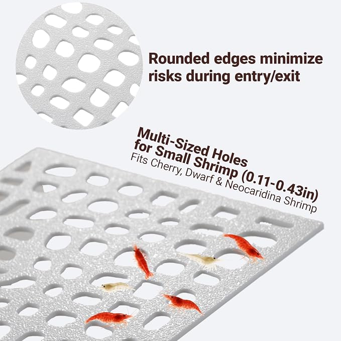 2-Pack Aquarium Shrimp Shelter Hide, 5.5x4x1.3 inches, Multi-Sized Holes for Cherry and Dwarf Shrimp