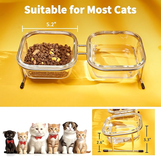 Hannadepot Elevated Cat Bowls, 15° Tilted Glass Raised Cat Food Bowl with Stainless Steel Stand, 2 Large Capacity Glass Cat Bowls and 4 Anti Slip Feet, Suitable for Cats and Little Dogs