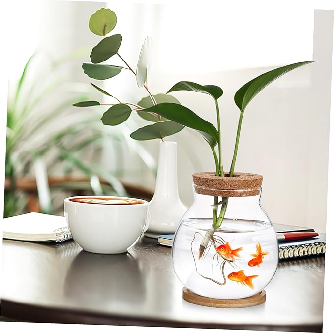 Glass Hydroponic Plant Vase with Cork Lid and Bamboo Base Small Clear Fish Bowl Desktop Terrarium Kit for Water Plants Lucky Bamboo Betta Fish Starter Pot for Home Office Decor 5x5.5 Inch
