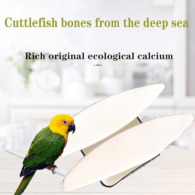 Bird Cuttlebone for Parakeets Cuttlebone for Birds - Natural Cuttlefish Bone Bulk Chew Toy Bird Bites Calcium Stone for Canaries Tortoises,Snails,Reptiles,Parrots,Cockatiel