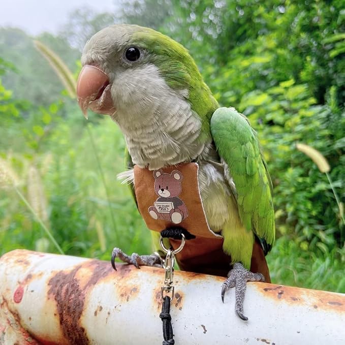 Bird Diaper Harness Flight Suit Clothes, Parrot Flight Suit with Leash for Parrot, Bird Flying Clothes with Rope and Handle for Outdoor Activities Training (Caique,with Leash)