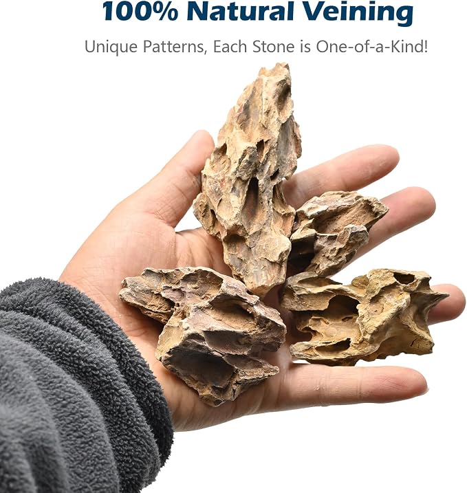 Natural Rocks Dragon Stone 1-2.5 Inches Decorative Rocks for Miniature Terrariums,Fairy Gardens,Bonsai,DIY Crafts, Aquariums Dioramas & Wargaming-1lb