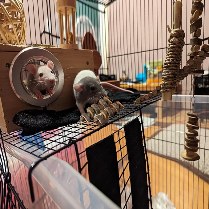 LWINGFLYER Small Animal Chews Toy Natural Apple Wood Block Cage Hanging Molars Treats Snack for Hamsters Rabbits Bunny Bird Parrots Chinchilla Guinea Pig Gerbils Squirrels (4pcs Natural Apple Wood)