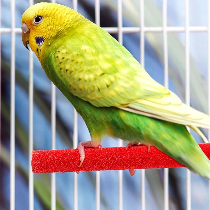 10 Pieces Bird Perch Stand Parrot Stand Paw Grinding Stick Parrot Perch Rough Surfaced Bird Cage Stand Colorful Wooden Parakeet Perch Toys for Cockatiels Cage Accessories