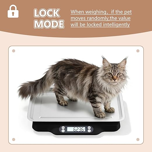 Helsevesen Digital Little Animal Precision Scale(30kg/2g; 66lb/0.1oz), Kitchen Scale, Postal Scale, Compact Bench Scale, Digital Wet Diaper/Organ Scale