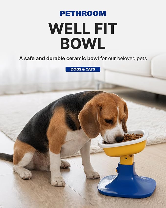 PETHROOM Well Fit Dog Bowl – Durable Ceramic Cat & Dog Food Bowl, Stable & Non-Slip, Easy to Clean, 6.2 × 6.2 × 2.0 in, Lavender
