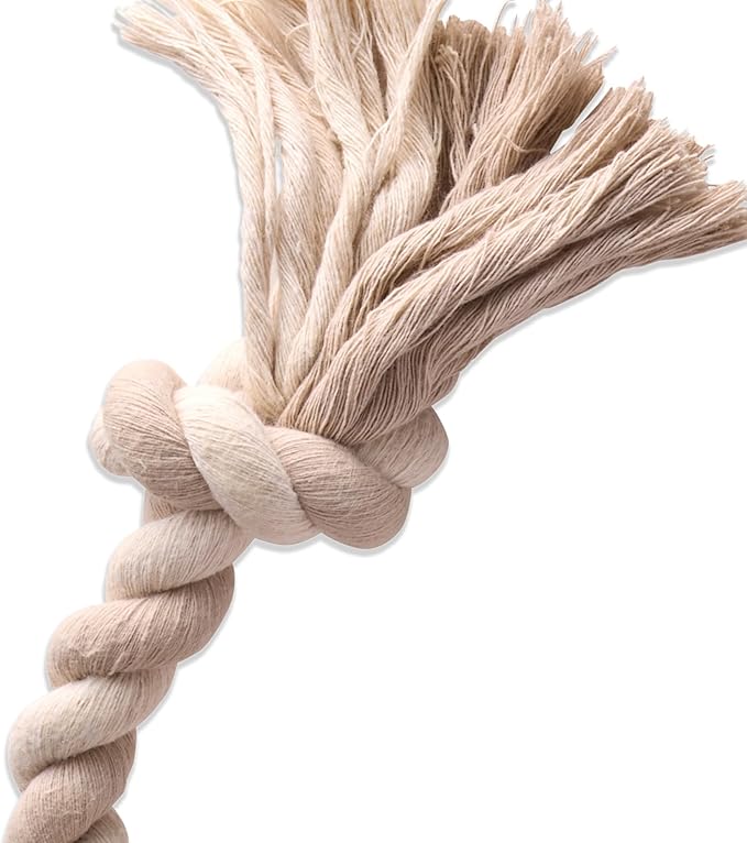 Pet Passion Natural Rubber Tire and Organic Cotton Rope Pull and Chew Dog Toy for All Pet Breeds, Almond Milk, Large