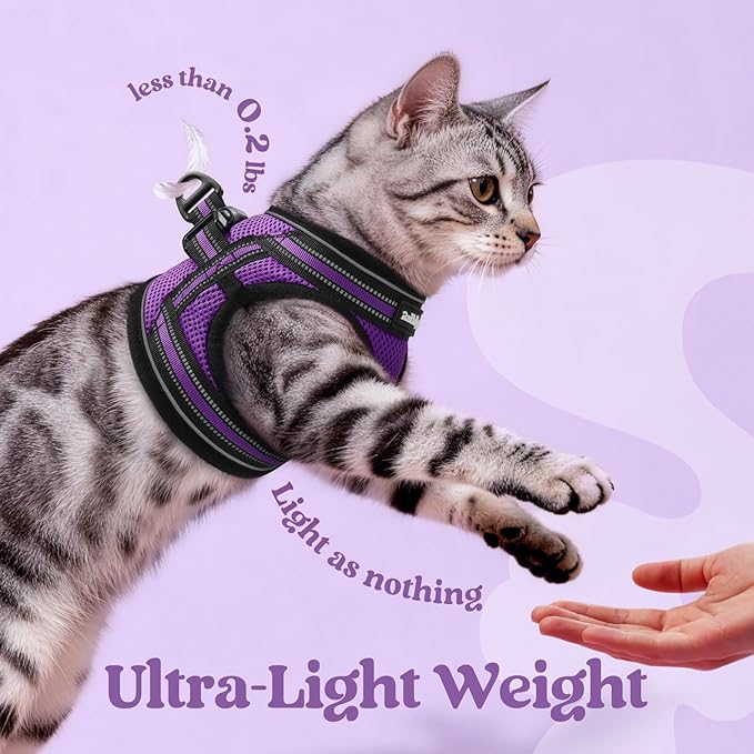 rabbitgoo Cat Harness and Leash Set for Walking Escape Proof, Adjustable Soft Kittens Vest with Reflective Strip for Cats, Comfortable Outdoor Vest, Purple, M