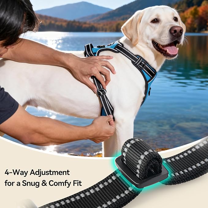 PHOEPET Reflective Dog Harness No Pull Large Breed Vest with 2 Metal Leash Attachment Hooks(L, Blue)