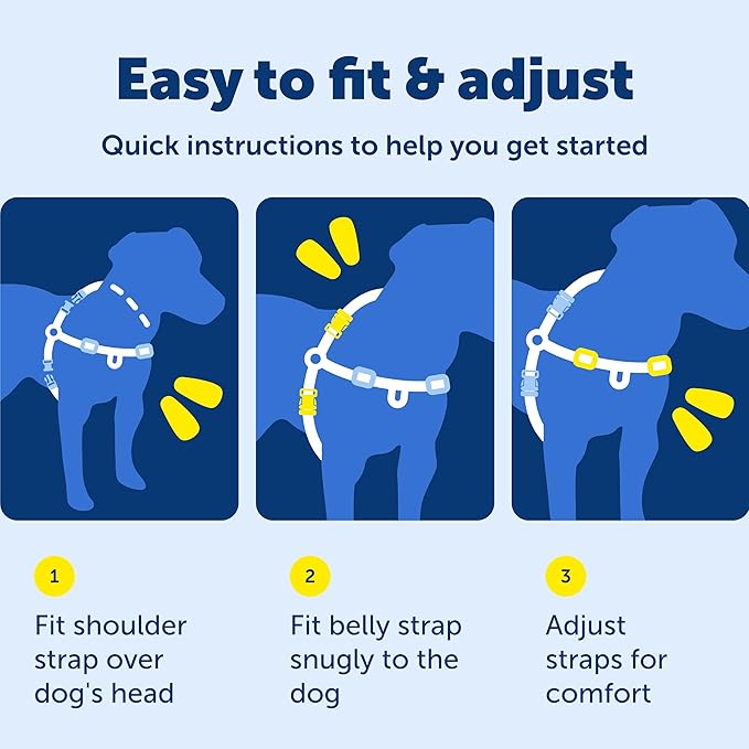 PetSafe Easy Walk No-Pull Dog Harness - The Ultimate Harness to Help Stop Pulling - Take Control & Teach Better Leash Manners - Helps Prevent Pets Pulling on Walks, Petite, Black/Silver