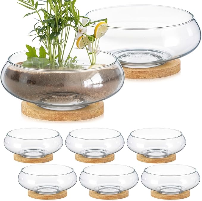 Baderke 8 Sets Glass Planter Bowls for Flowers with Tray 6'' Round Glass Vase Bowl Hydroponic Lotus Planter Pot Propagation Vases Fish Bowl for Plants Indoor Windowsill Kitchen Desktop Wedding Decor
