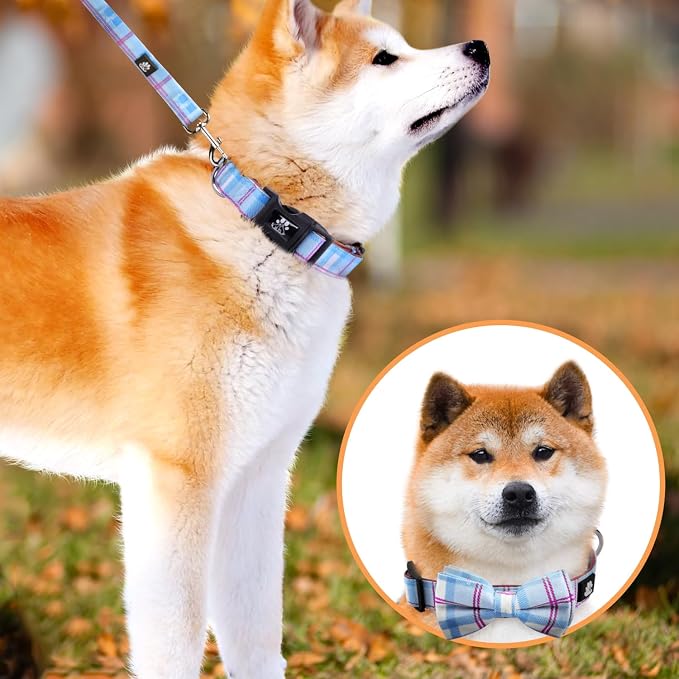 IVY&LANE Dog Collar with Bowtie and Leash Set | Plaid Adjustable Dog Collar | Detachable Bow Tie |5 FT Dog Leash | for Small Medium Large Dogs | Checkered Blue | Medium