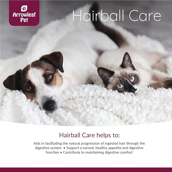 Hairball Care by NaturPet Inc | Digestive Support for Cats and Dogs | Hairballs, Constipation, Intestinal Discomfort | 100mL Herbal Tincture