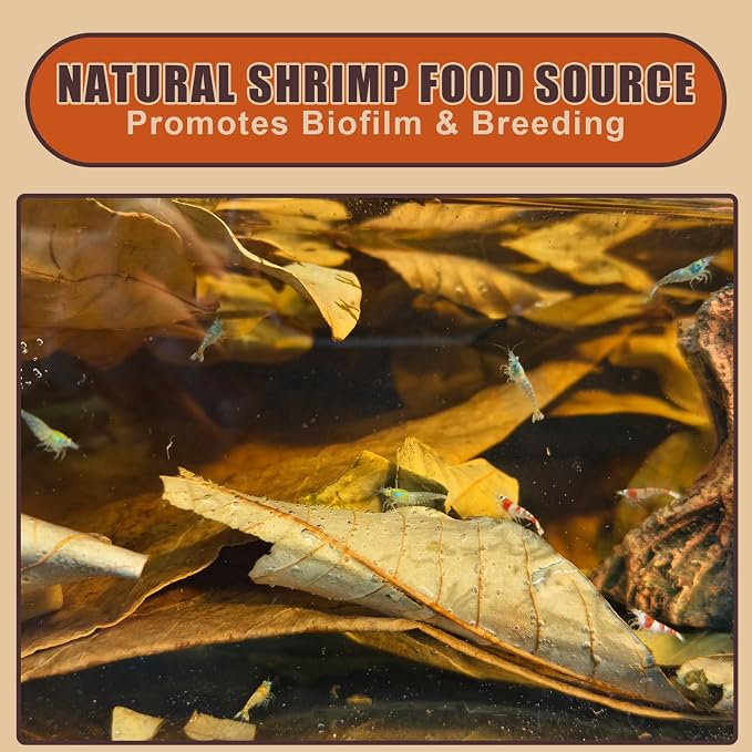 Indian Almond Leaves for Betta Fish,20Pcs Catappa,40Pcs Oak Leaves & 60Pcs Longan,Aquarium Water Conditioner Leaf,pH Balancing Water Conditioner Leaf for Betta Fish,Shrimp,Frogs,Axolotl Tanks