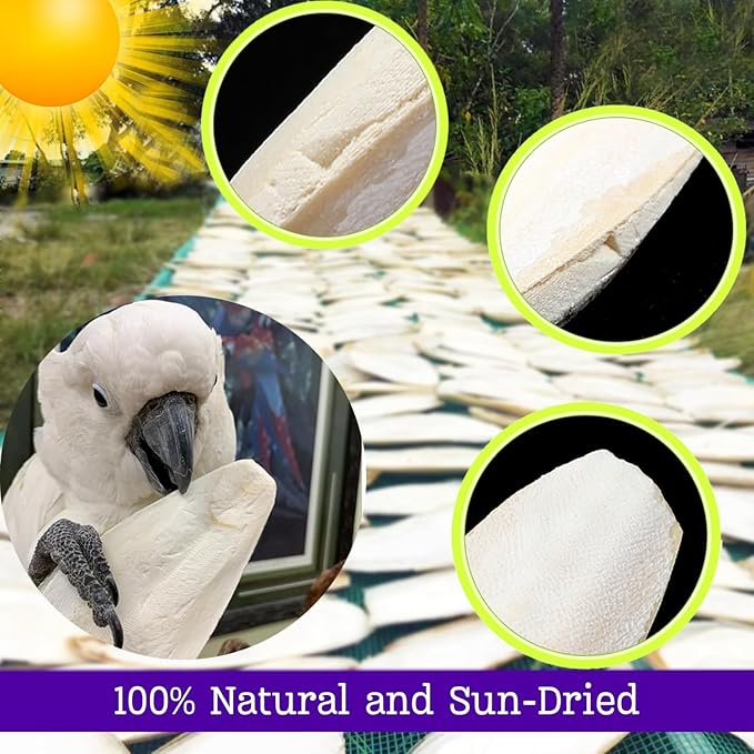 Bird Cuttlebone for Parakeets Cuttlebone for Birds - 101% Natural Cuttlefish Bone Bulk Chew Toy Bird Bites Calcium Stone for Canaries Tortoises,Snails,Reptiles,Parrots,Cockatiel