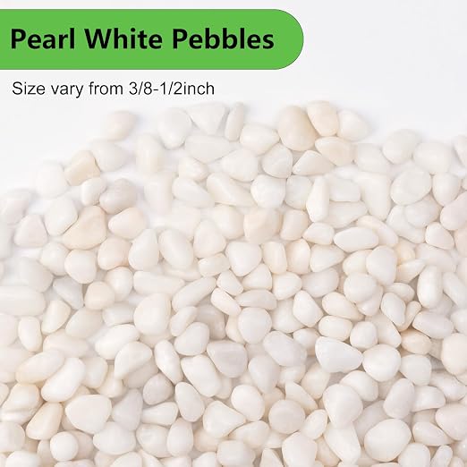 Pulovin 5 lbs White Pebbles for Vases, 3/8" Small Plant Rocks for Pots Indoor, Decorative Pea Gravel for Succulents, Bamboo, Terrarium, Landscape, Garden