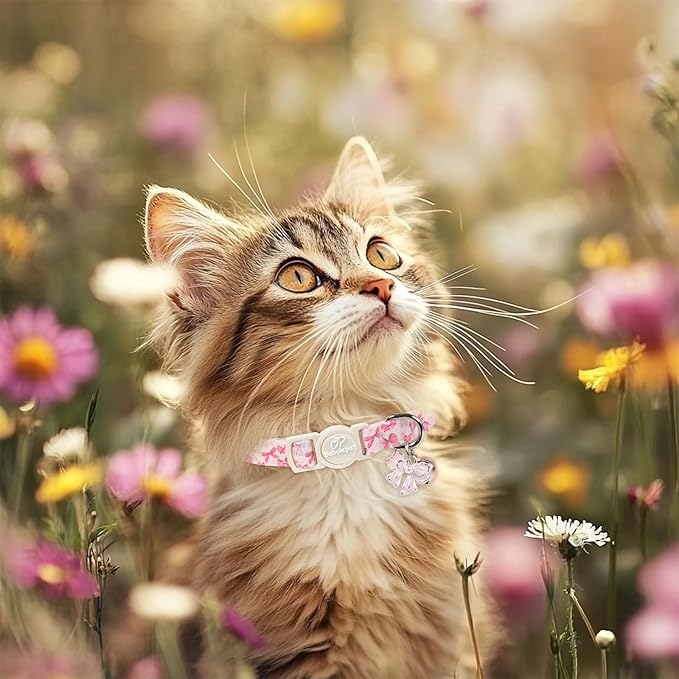 2 Pack Pink Cat Collars - Cute Strawberry & Bow Breakaway Cat Collars, Adjustable Girly Pink Kitten Collar for Small Dogs Puppy, Spring Summer Pet Safety Collar with Bell & Pendant