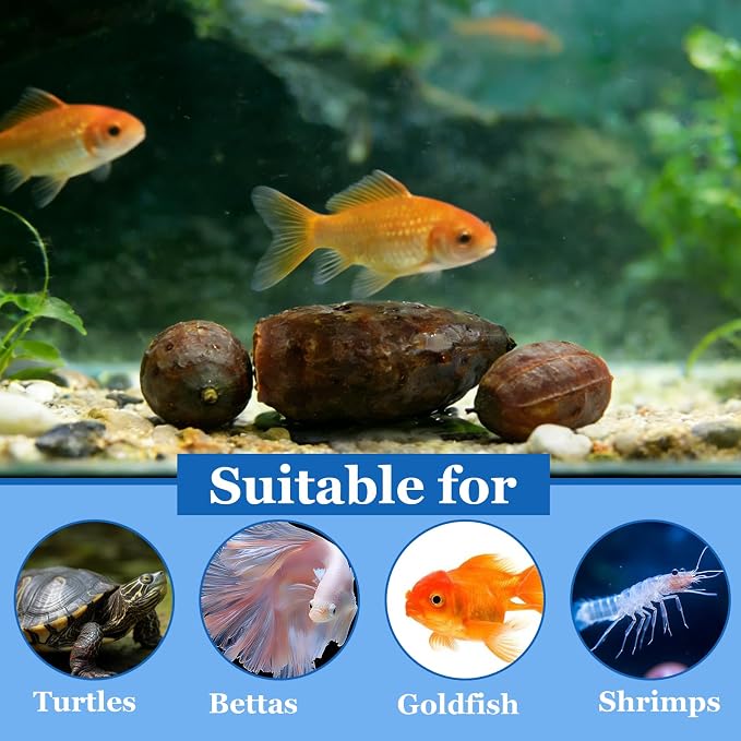 6PCS Betta Leaf Indian Almond Leaves Catappa Leave Aquarium Decor for Fish Shrimp Goldfish Guppy Frogs Chelonian(6PCS Dibaguo)