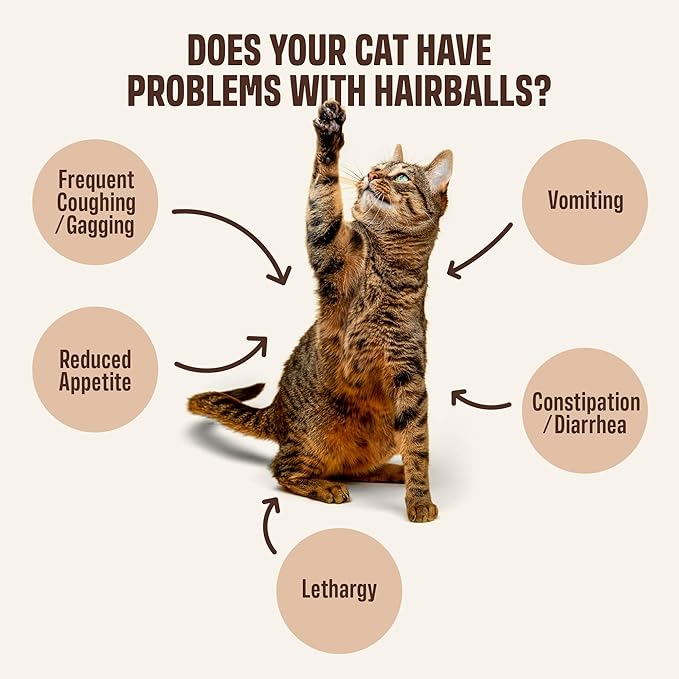 ivvi Indoor Hairball Support Cat Treat – Creamy Lickable Treat for Indoor Cats – Malt & Fiber Digestive Support – Helps Reduce Hairballs – Grain Free – 15g Sachets