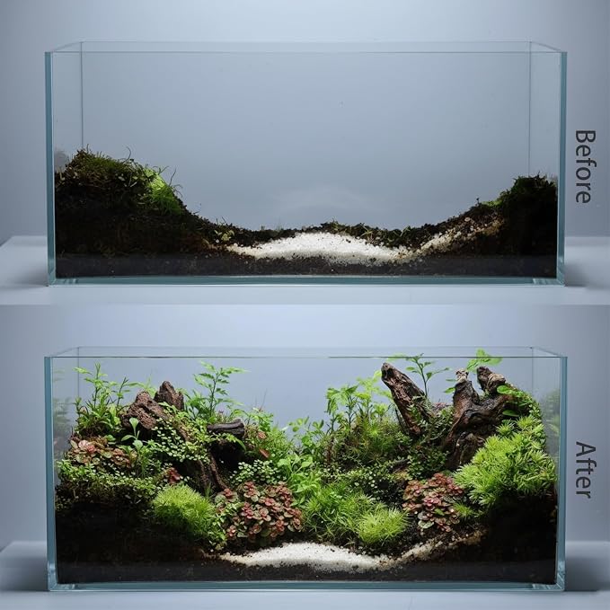 emours Aquarium Driftwood (8–12 in) 2 Pieces Natural Mopani Branches Assorted Size