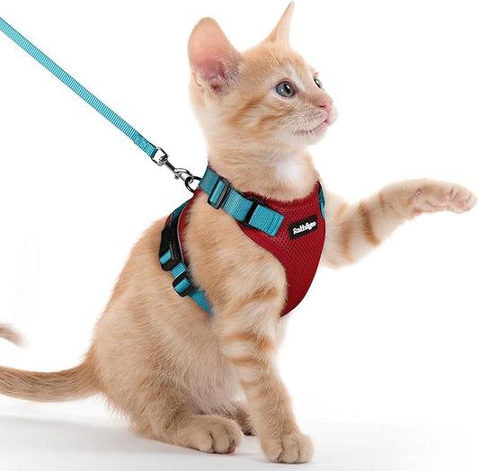 rabbitgoo Cat Harness and Leash for Walking, Escape Proof Soft Adjustable Vest Harnesses for Cats, Easy Control Breathable Reflective Strips Jacket, Red & Teal, XXS