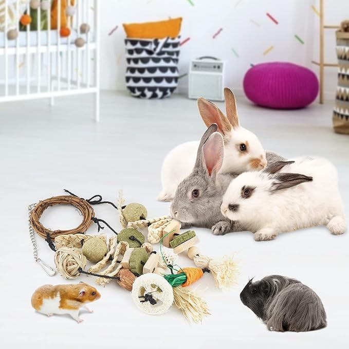 Bissap Bunny Chew Toy, Rabbits Cage Hanging Chew Toys and Treats Grapevine Wreaths Rattan Ring with Snacks for Guinea Pigs Chinchillas Hamsters Rats and Other Small Pets Teeth Grinding