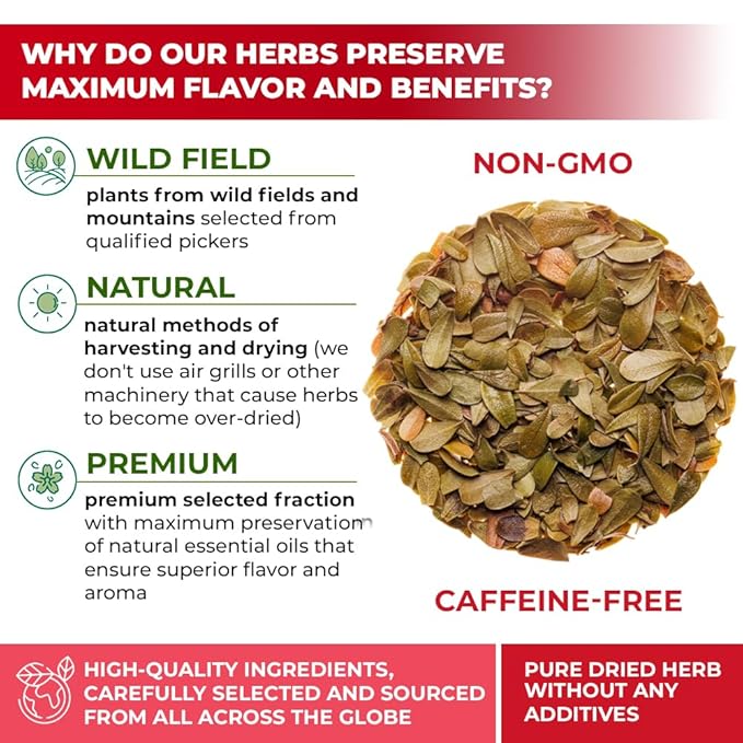 30 Bags Uva Ursi Leaf Uva Ursi Tea Herbal (Arctostaphylos Uva-Ursi) - 30 Count 1.5g Tea Bags Ursa Bag Uva-Ursi Herb Arctostaphylos Uva-Ursi