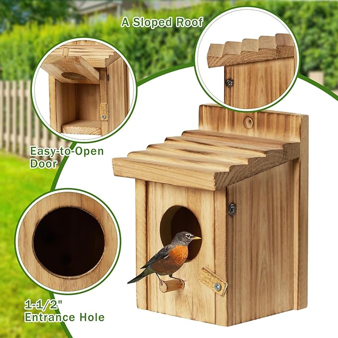 Small Bird House for Hummingbirds,Bird Houses for Outside,Humming Bird Houses for Outside,Outdoor Bird Box,Birdhouse,Bluebird House,Wooden Birdhouse with perches