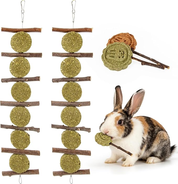 MAQIHAN Rabbit Chew Toys for Teeth -Bunny Treats for Dental Grinding Natural Apple Wood Sticks Timothy Hay Cake Lollipop Enrichment for Rabbit Cage Chinchilla Toys Guinea Pig Gerbil Rat Cage 4PCS