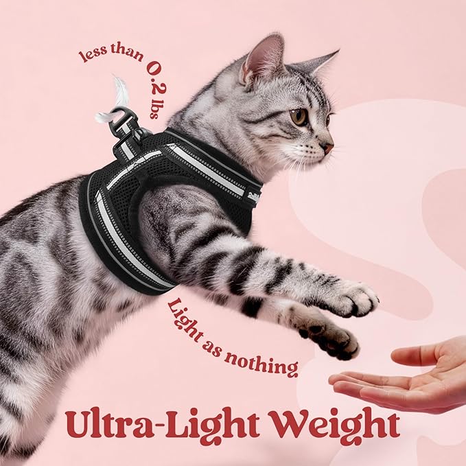 rabbitgoo Cat Harness and Leash Set for Walking Escape Proof, Adjustable Soft Kittens Vest with Reflective Strip for Cats, Comfortable Outdoor Vest, Black, M