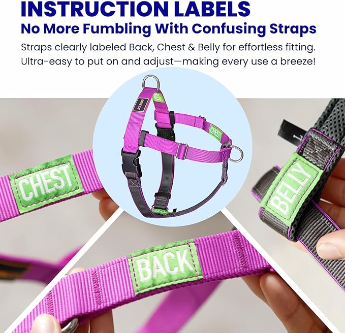 Freedom No Pull Dog Harness for Large Dogs, Front Clip, Easy Walker, Anti Pull with Two Stainless D-Rings, Comfortable, Sewn-in Instructions Tags for Easy Use (Purple, XXL)