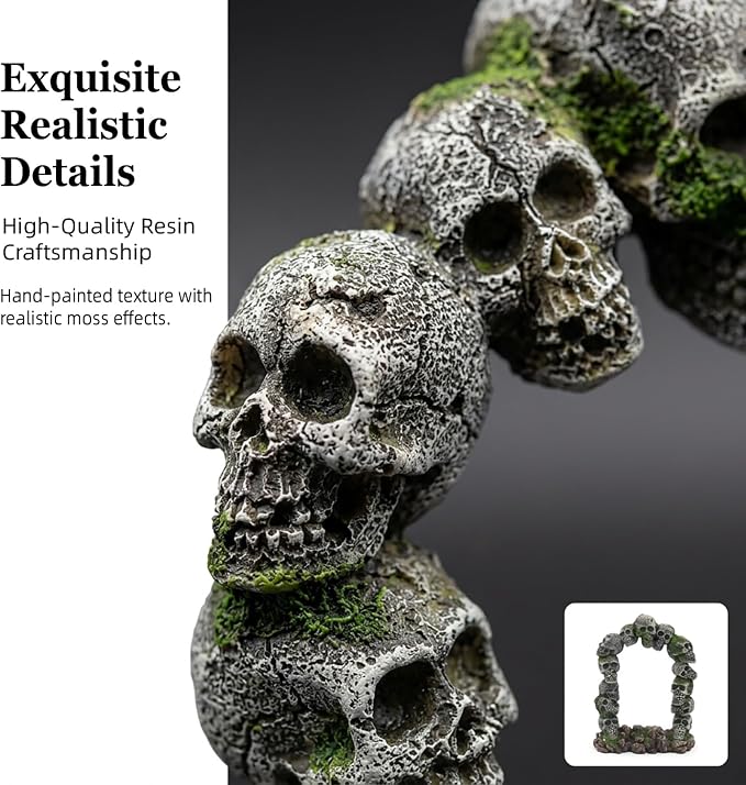 relaqcc Aquarium Skull Cave Rocks, Reptile Tank Accessories, Fish Tank Decorations for Amphibians, Betta Fish, Shrimp, Hermit Crab, Leopard Gecko