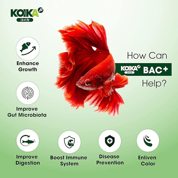 KOIKA BAC+ Aquarium Probiotics for Fish & Shrimp – High-Density Beneficial Bacteria, Pleasant Smell, Supports Disease Resistance & Immunity Boosting (New Formula, 105ml)