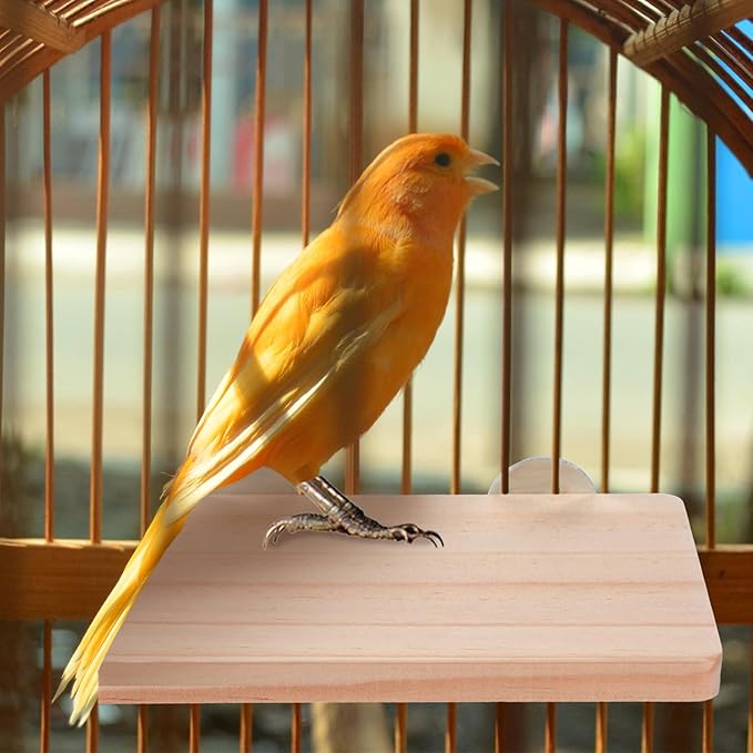 Wooden Parrot Perch Corner Bird Perch Platform Flat Stand 7.48 × 3.93 Inches Wood Perch Birds Platform Parrot Stand for Bird Cages Corner Shelf for Parakeet Cockatiel Lovebird Rat Hamster