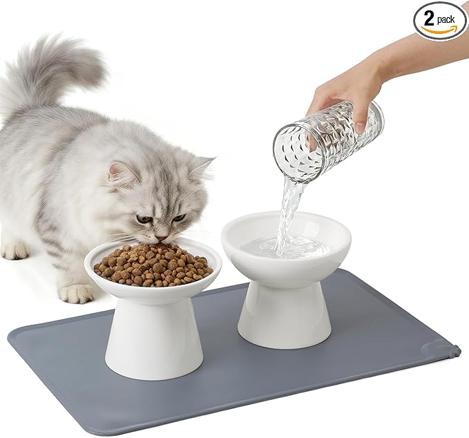 CEEFU 2 Elevated Ceramic Cat Bowls Upgraded with Food Mat, Extra Wide for Food & Water – Whisker Fatigue Shallow Food Dish, Lead & Cadmium-Free, Raised Height for Cats, White