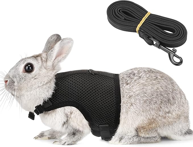PETTOM Bunny Rabbit Harness with Stretchy Leash Cute Adjustable Buckle Breathable Mesh Vest for Kitten Small Pets Walking (Black,XS)