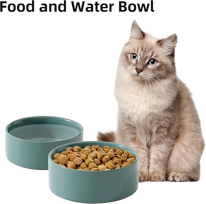 Havniva Cat Water Bowl Set of Two, 5.1” Ceramic Cat Food and Water Bowl Whisker Friendly Pet Water Bowls for Indoor Cats, Wide Kitten Dish Relieve Whisker Fatigue Non Slip Cat Feeder