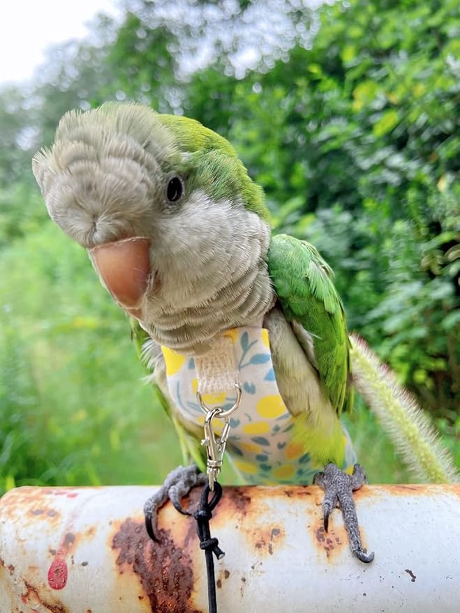 Bird Diaper Harness Flight Suit Clothes, Parrot Flight Suit with Leash, Bird Flying Clothes with Rope and Handle for Outdoor Activities Training (Yellow with Leash,Large)
