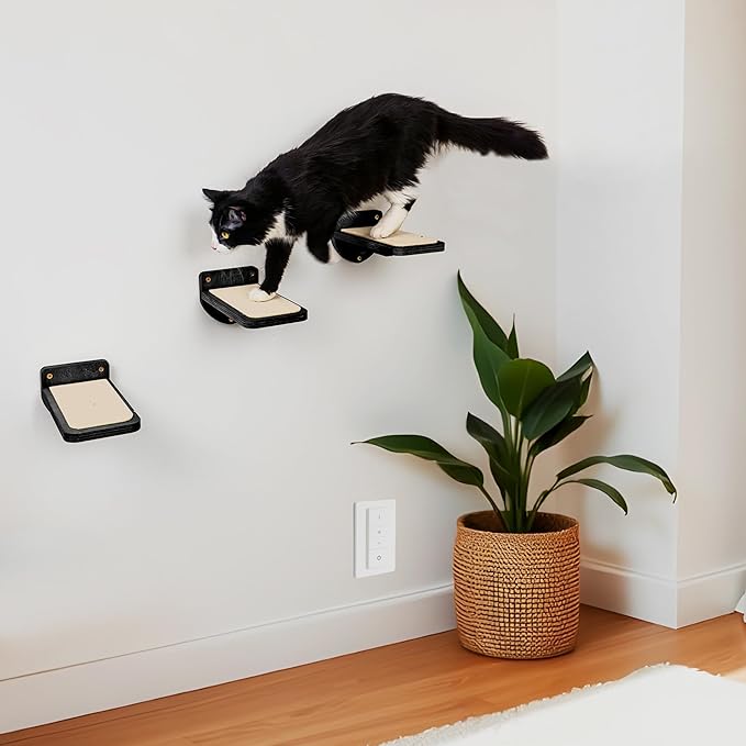 INICIO Cat Wall Steps - Set of 3 Cat Wall Stairs for Cats to Climb with Fixtures, 8.7"x4.7" - Floating Steps for Climbing or Playing - for Kittens and Adult Cats, Black