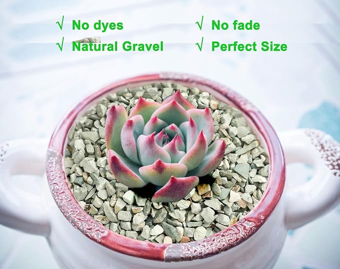 Boniosz 5lb Succulents and Cactus Green Zeolite, Décor & Additive Rocks, Natural Decorative Gravel for Bonsai, Fairy Gardening, DIY Projects, Vases Fillers, Terrarium