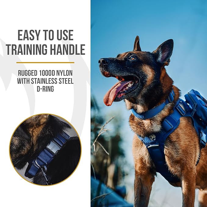 OneTigris Tough Dog Collars, Tactical Dog Collar with Handle, Milltary Adjustable Dog Collar with Heavy Duty Metal Buckle for Training (Medium,Blue)