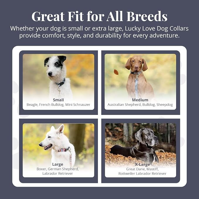 Lucky Love Dog Martingale Dog Collar - Adjustable, No-Slip, Durable, & Soft Webbing Collar for Male and Female Dogs Ideal for Training & Walking - Rosie, Small